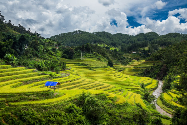 7D6N Magical Mu Cang Chai & Stunning Sapa Tour - photo 31